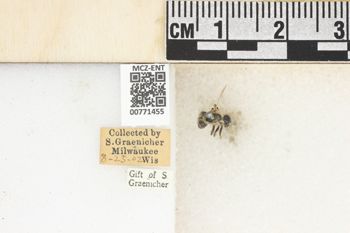Media type: image;   Entomology 771455 Aspect: Labels